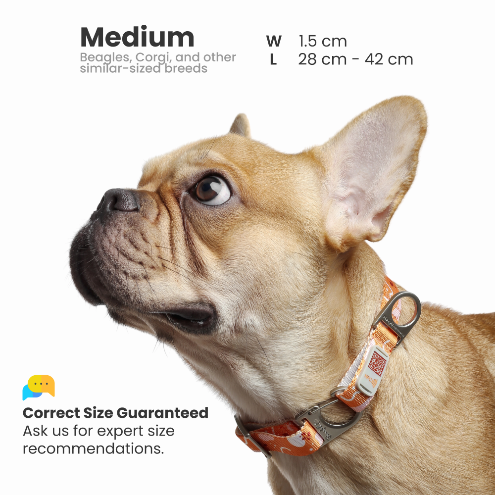 Pawnec - Wholesale Pet Collar - Cat/Dog - NeoCollar6