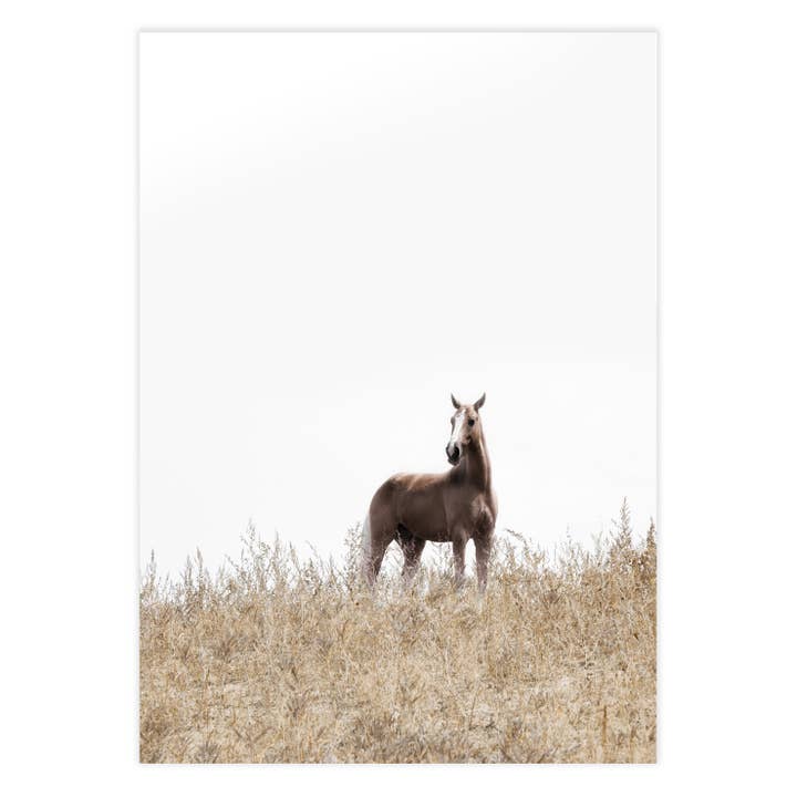 Fotografía de On The Ranch para venta al por mayor de Ellisimo