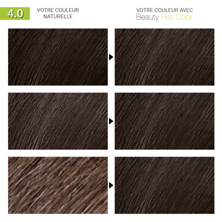 REMOVED BRAND - Wholesale Hair Dye - BHC NATURAL CHESTNUT 4.01