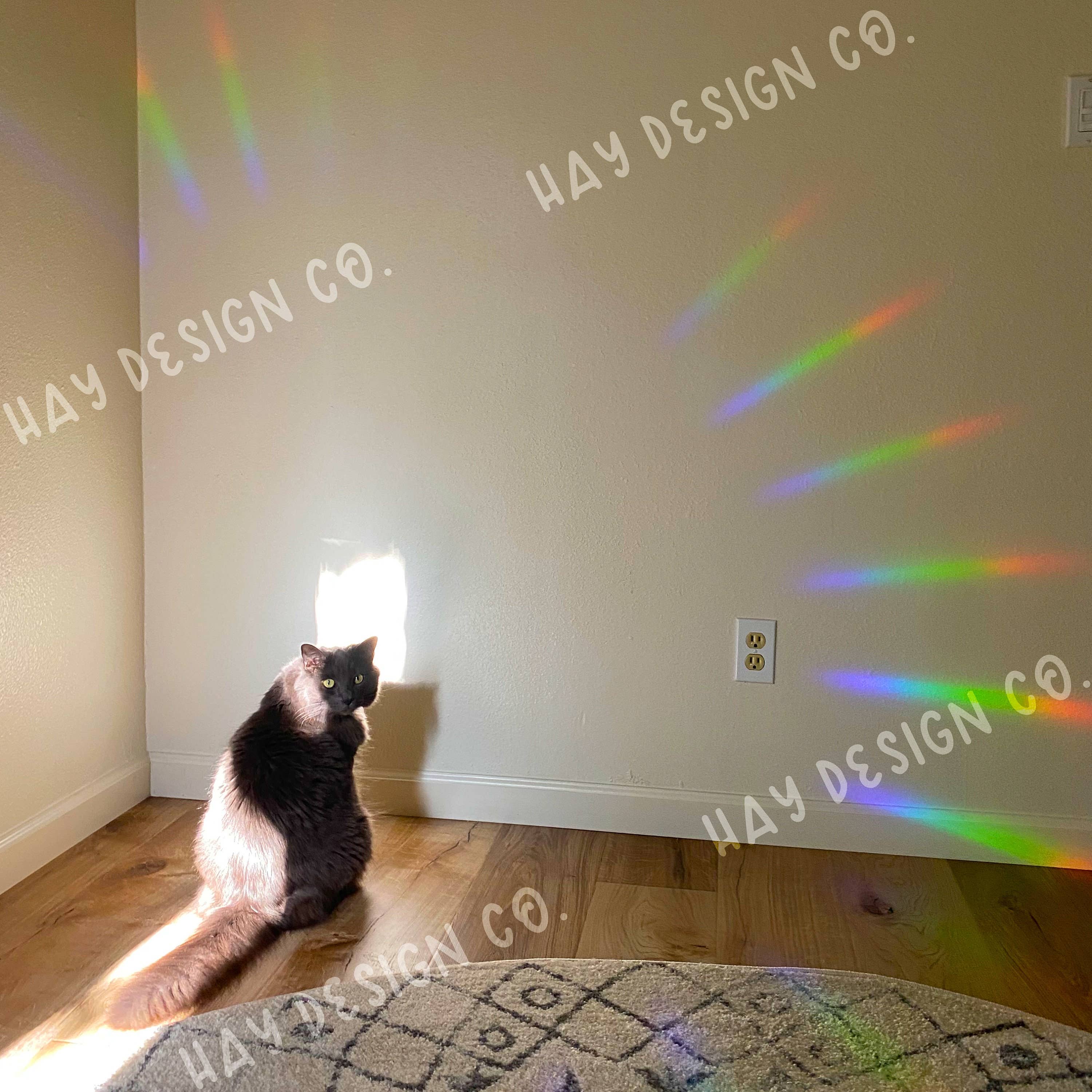 Hay Design Co. – Engroshandel Solfanger – Monarch Butterfly Suncatcher5