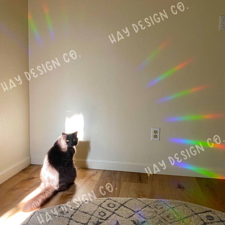 Hay Design Co. - Wholesale Suncatcher - Daisy Suncatcher10