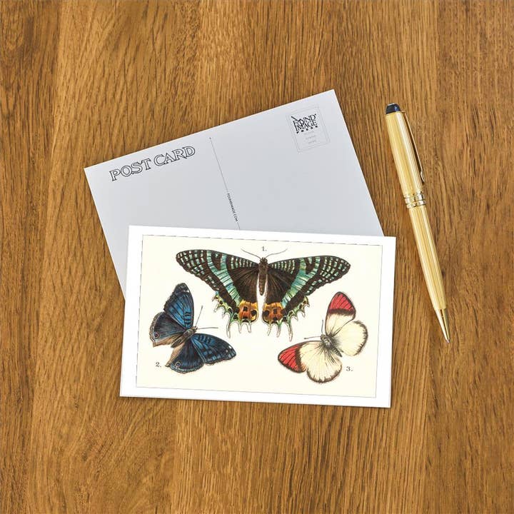 Found Image Press - Vendita all'ingrosso Cartoline - Cartolina IS-120 Tre Farfalle