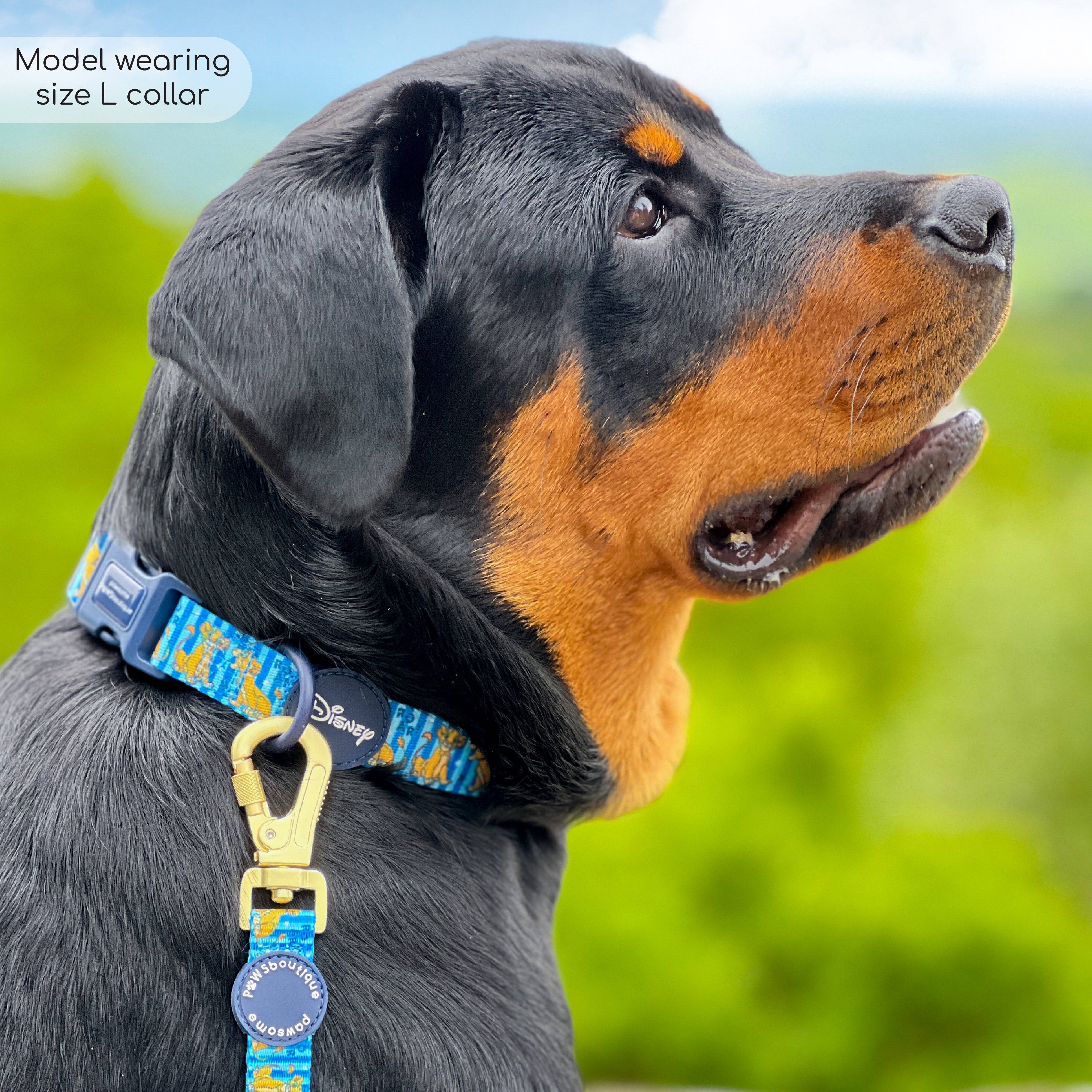 Pawsome Paws - Wholesale Pet Collar - Dog - Disney© Collar - Simba3