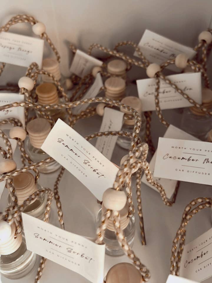 Diffuseurs de voiture Désodorisants pour voitures Accessoires automobiles pour la vente par Worth Your Penny