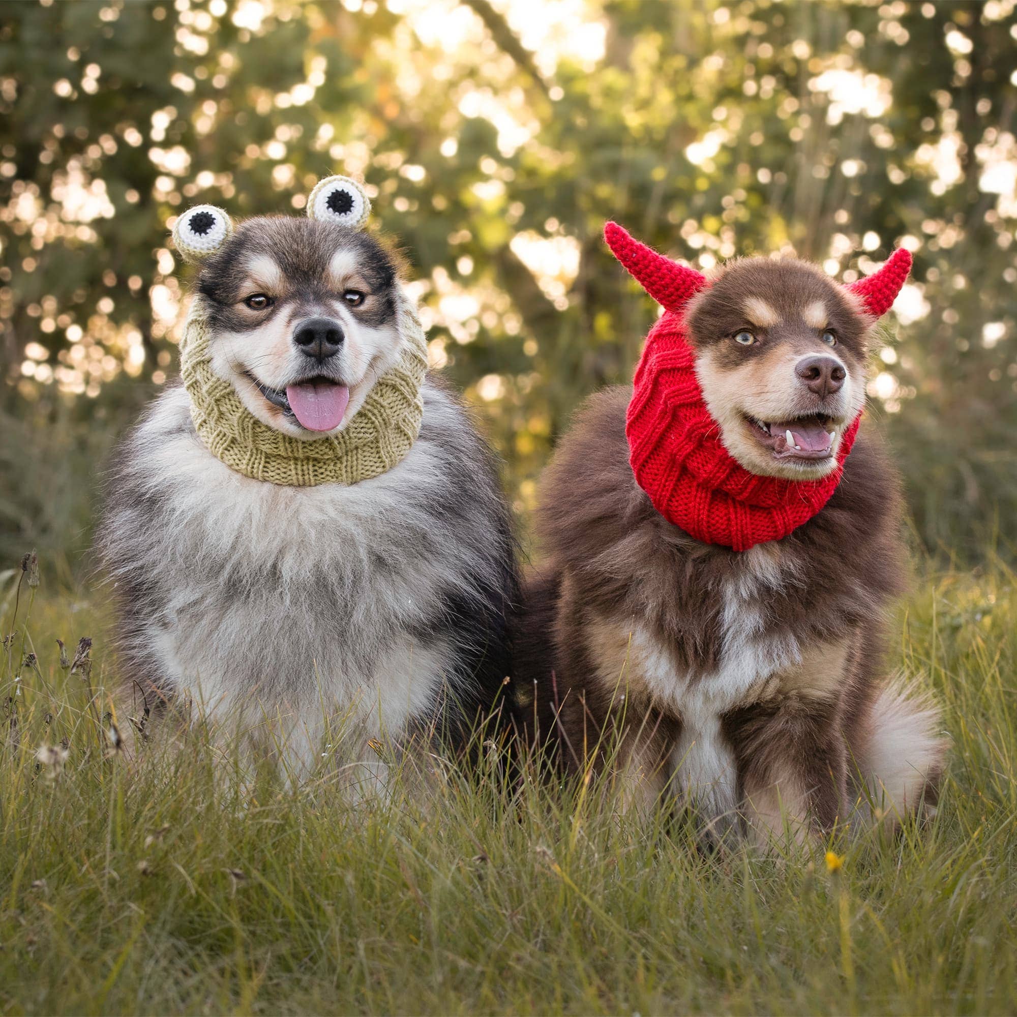 Zoo Snoods - Wholesale Pet Snood - Dog - Frog Dog Snood7