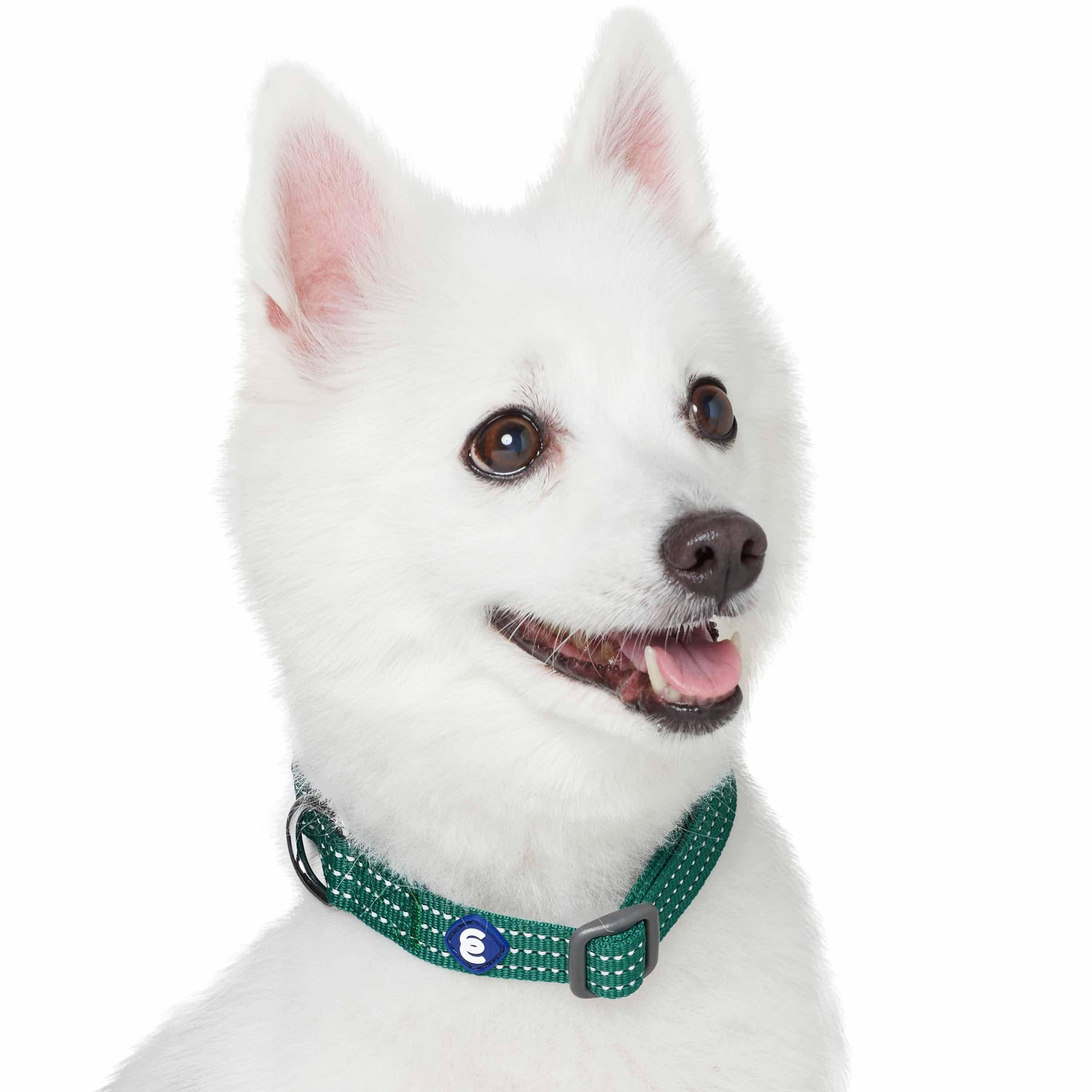 Blueberry Pet - Venta al por mayor Collar - Perros - Collar reflectante para perros Better Basic en 8 colores32