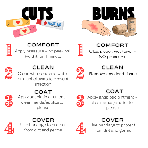 Tiny Sparrow Designs - Vente Trousse de premiers secours - Ensemble Ouch Pouch à emporter2