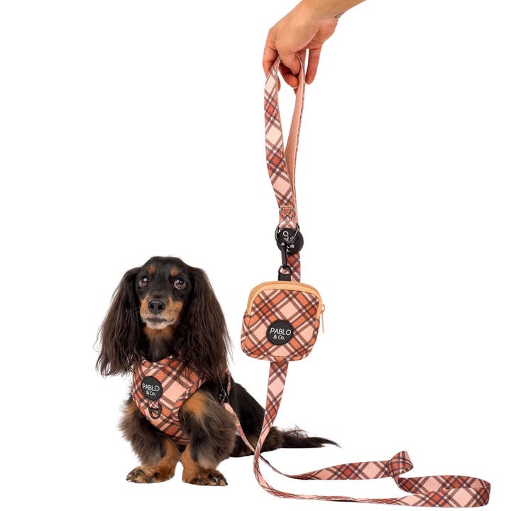 Pablo & Co. Boutique - Wholesale Pet treat bag – Dog - Kensington: Treat Pouch3