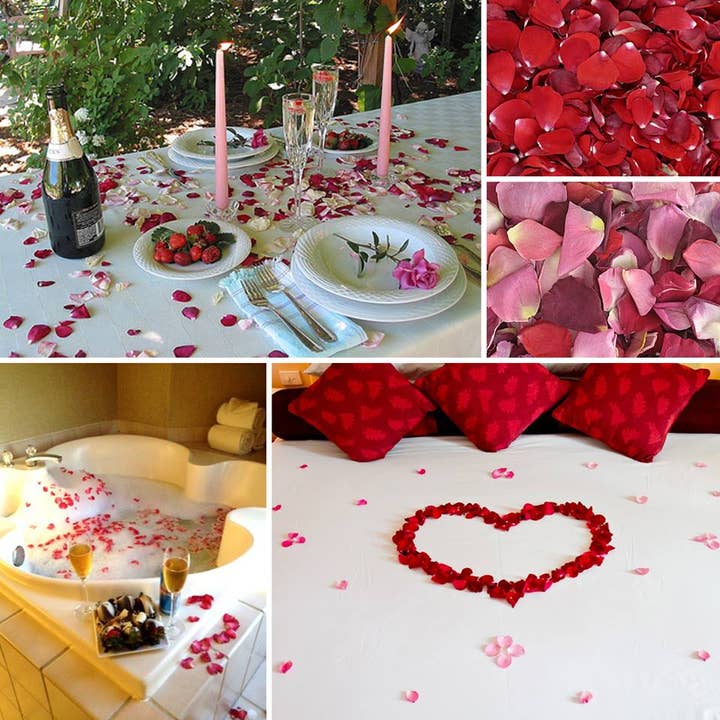 Flyboy Naturals Rose Petals - Wholesale Dried/pressed flowers - Romantic Red Rose Petals – 30 Cups Real • Freeze-Dried • USA7