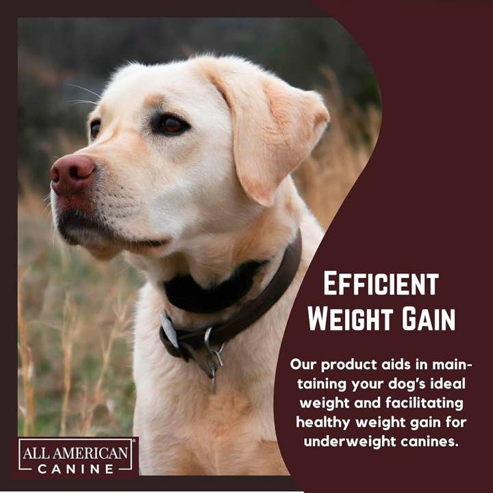 All American Canine - Wholesale Pet Supplement - Dog - Dog Weight Gainer Chews 60 Ct.