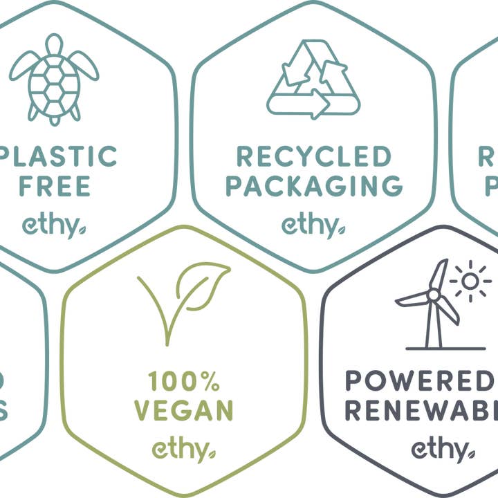 The Sustainable Watch Company - Wholesale Wrist Watch - Men's - The White Cedar - Chronograph Wood Watch - Handmade & Sustainable10