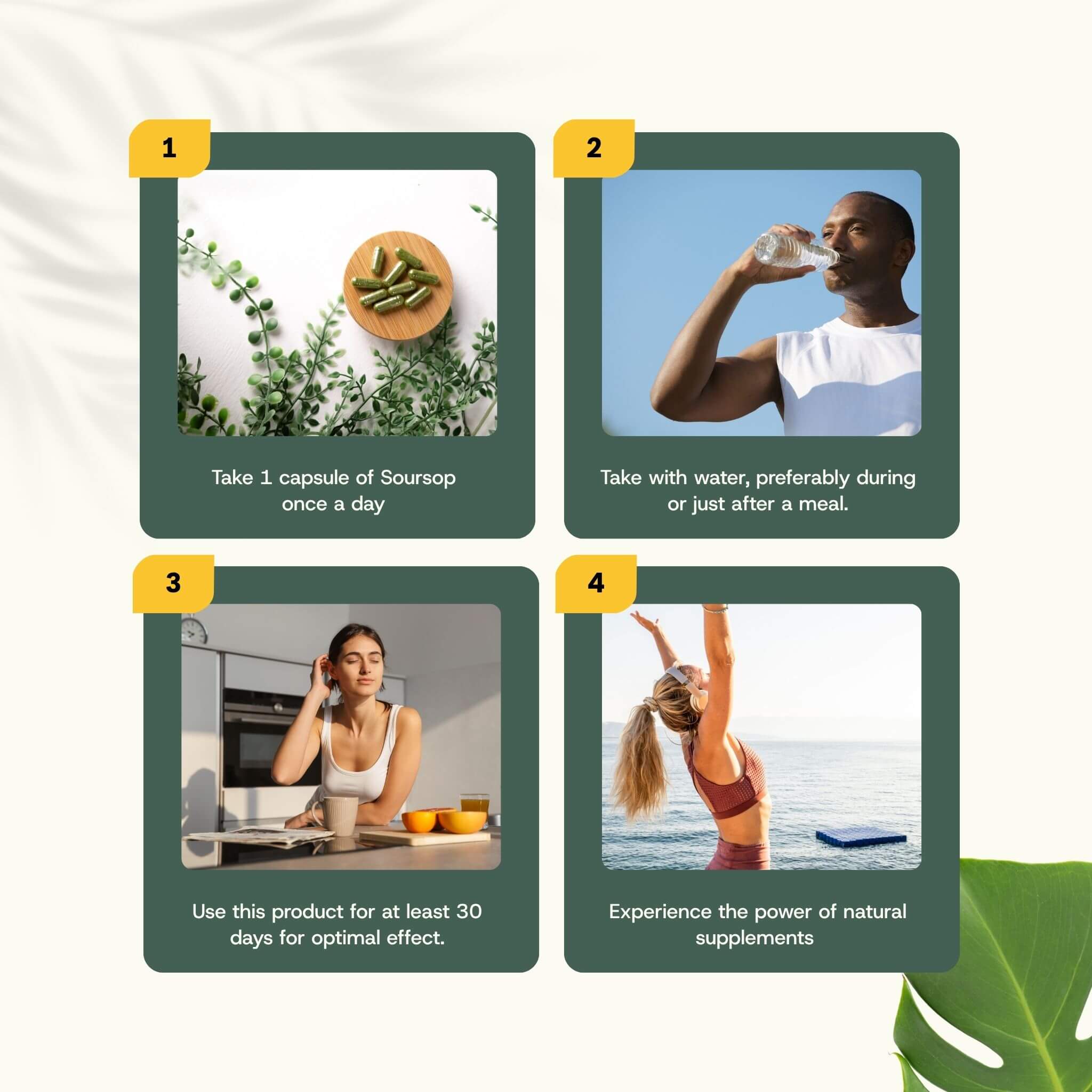 Cupplement b.v. - Wholesale Oral Supplement/Vitamin - Soursop Extract Capsules 500mg  60 Capsules7