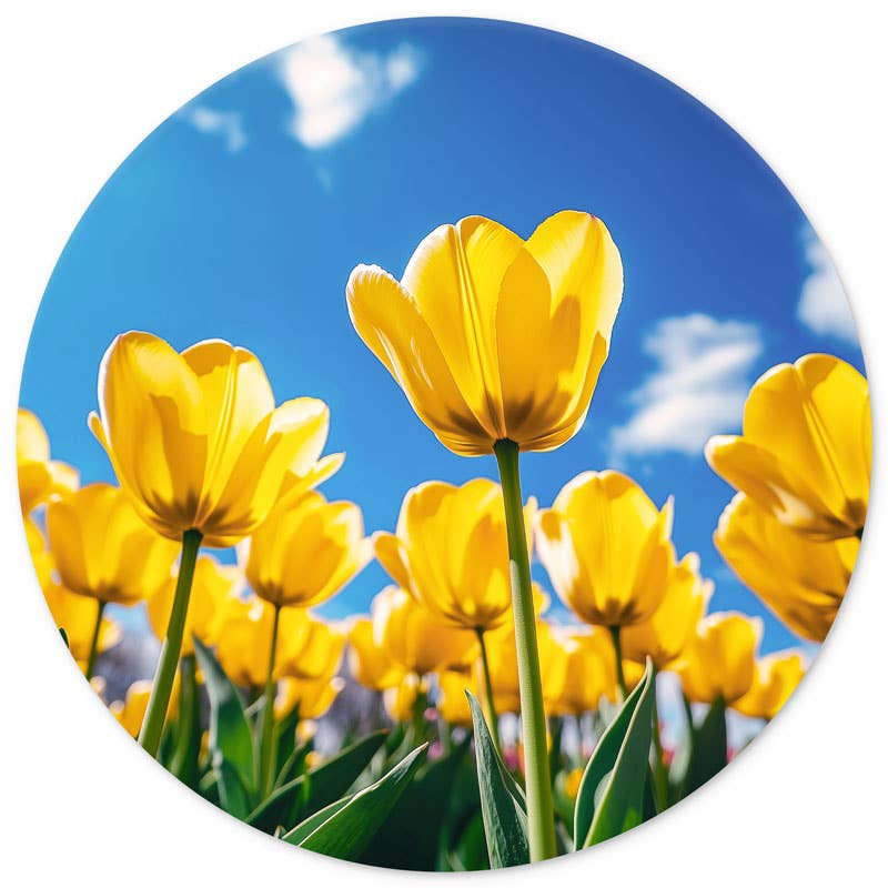 Wanderschoon - Wholesale Wall Accent - Wallcircle Yellow Tulips 0