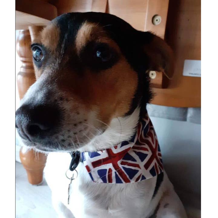 Storms Style - Wholesale Pet Bandana - Dog - Union Flag Pet Bandanas - Dog Cat