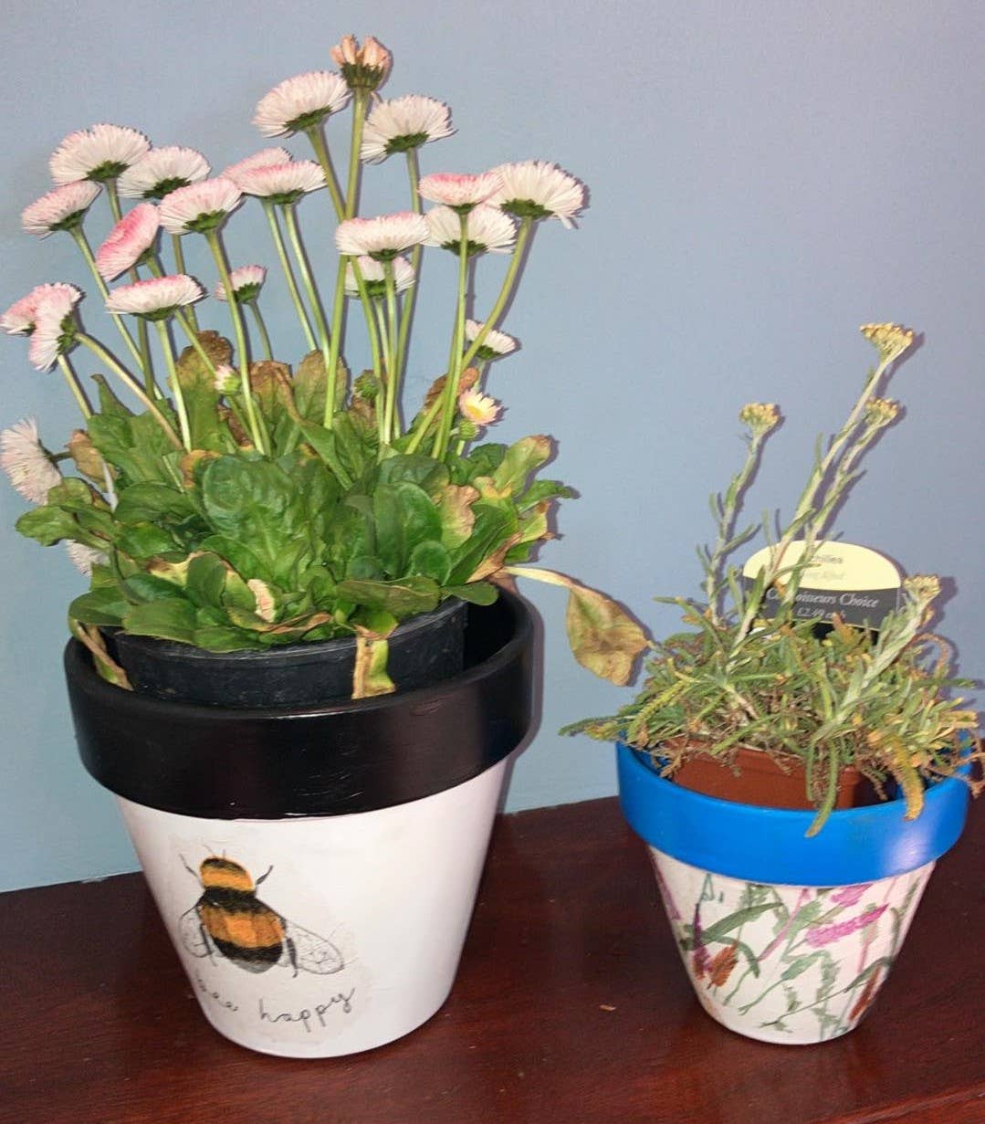 KCK Gifts - Vente Pot - Pot de fleurs découpé4