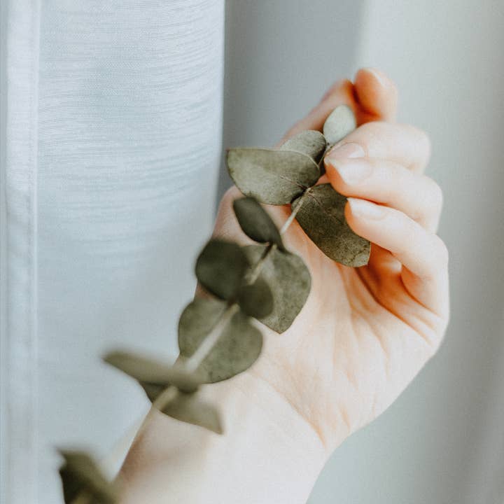 Unibio, Lda – Großhandel Handdesinfektionsmittel – Biologisches Desinfektionsmittel1