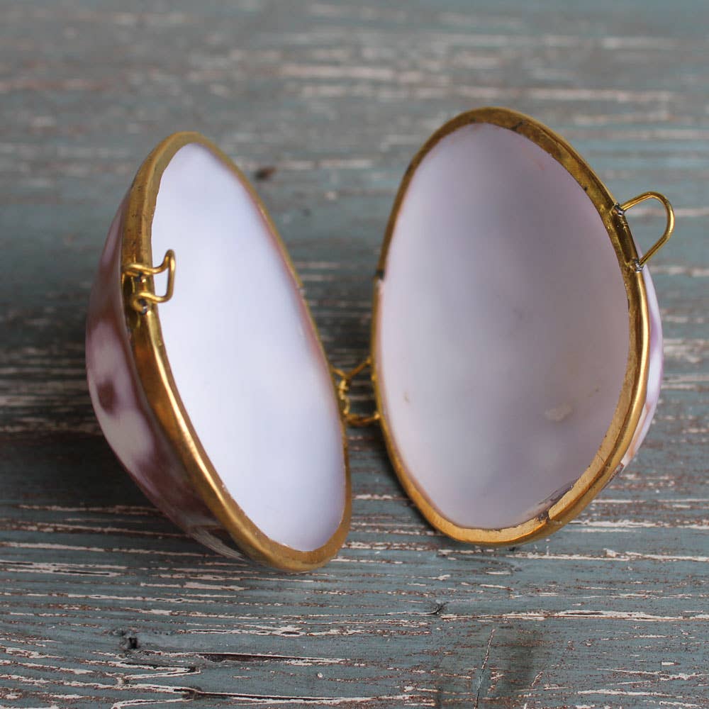 California Seashell Company - Wholesale Jewelry Dish - Purple Cowrie Seashell Coin Purse - Shell Box1