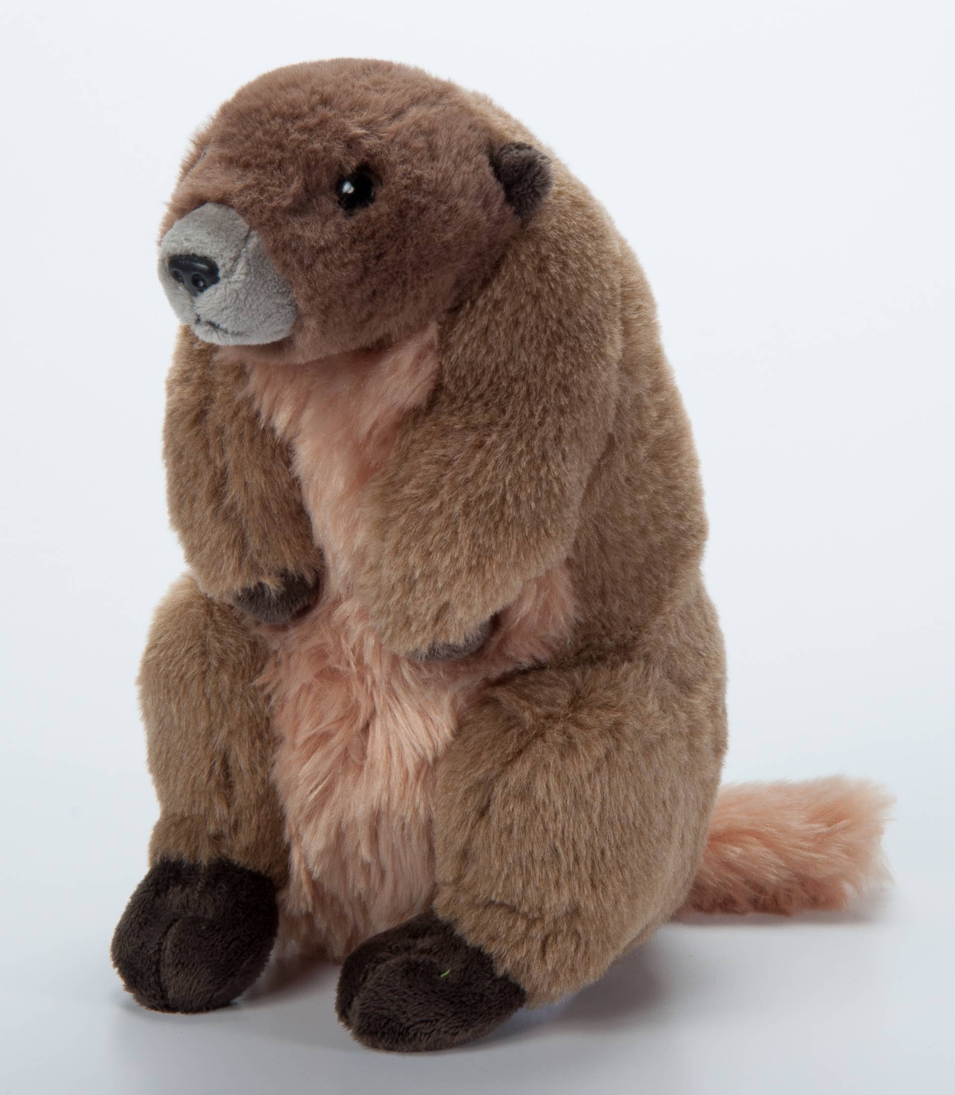 The Petting Zoo - Wholesale Stuffed/Plush Toy - Kids & Baby - 9" (22cm) Wild Onez Marmot / Groundhog4