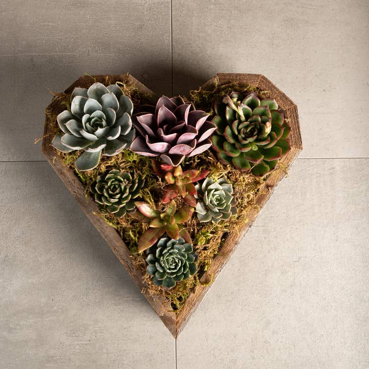 Love Reclaimed - Wholesale Planter Box - Reclaimed Wood Heart Planter / Tray