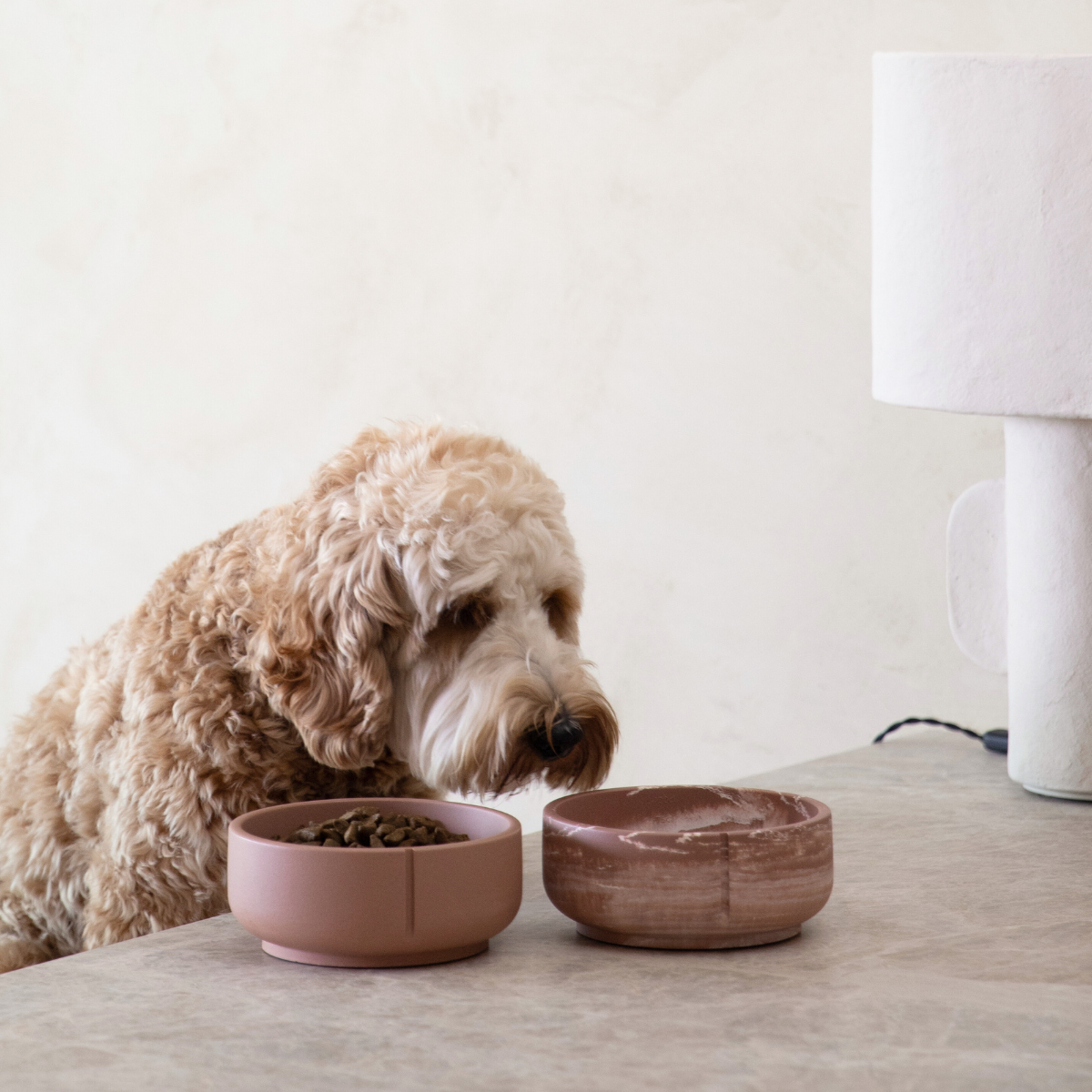 PINO – wholesale Pet bowl – Dog – Classic Feeder Bowls - 2024 Collection11