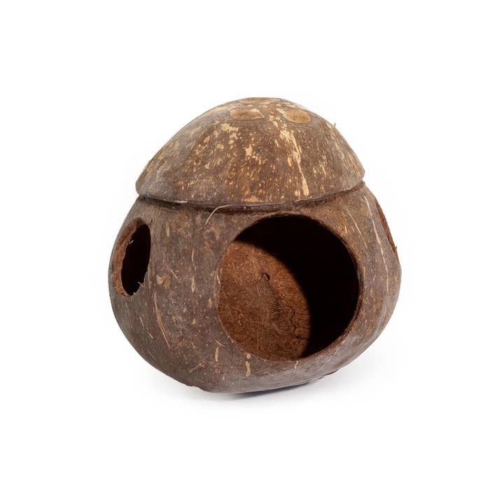 AWGifts Europe - Wholesale Bird House - 4x Natural Coconut Bird House - With Hook - 13cm