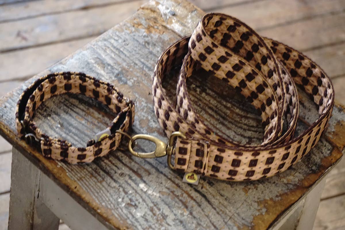 hundsfutter - Wholesale Pet Collar - Cat/Dog - Fran leash collar7