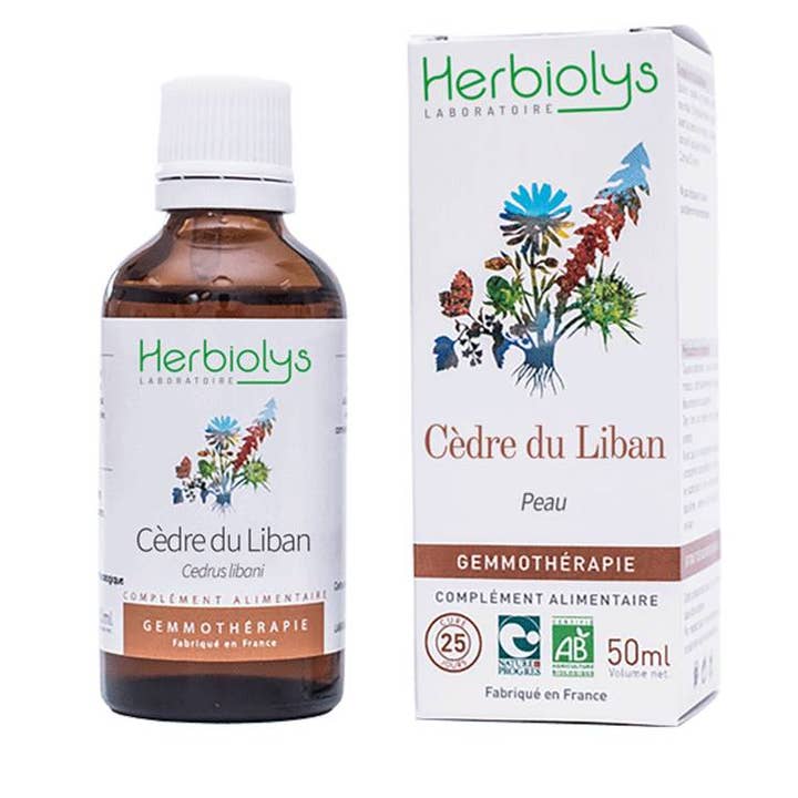 Cedro del Libano Gemmoterapia per la vendita all'ingrosso da parte di Herbiolys