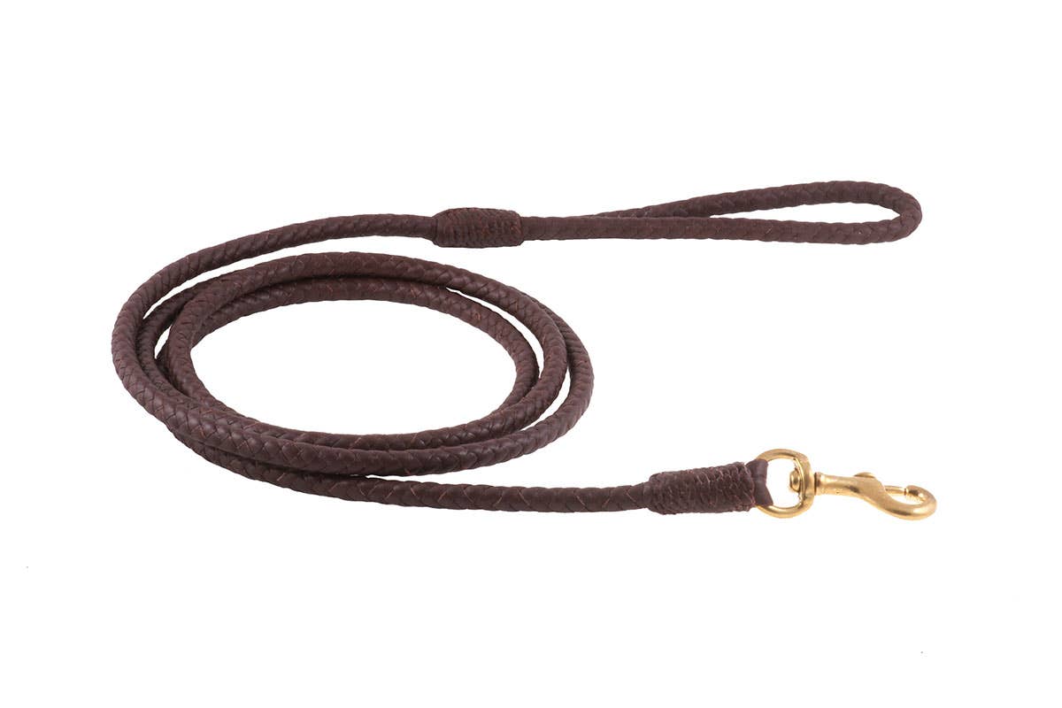 Alvalley - Wholesale Pet Leash - Dog - Braided Leather Snap Leads12