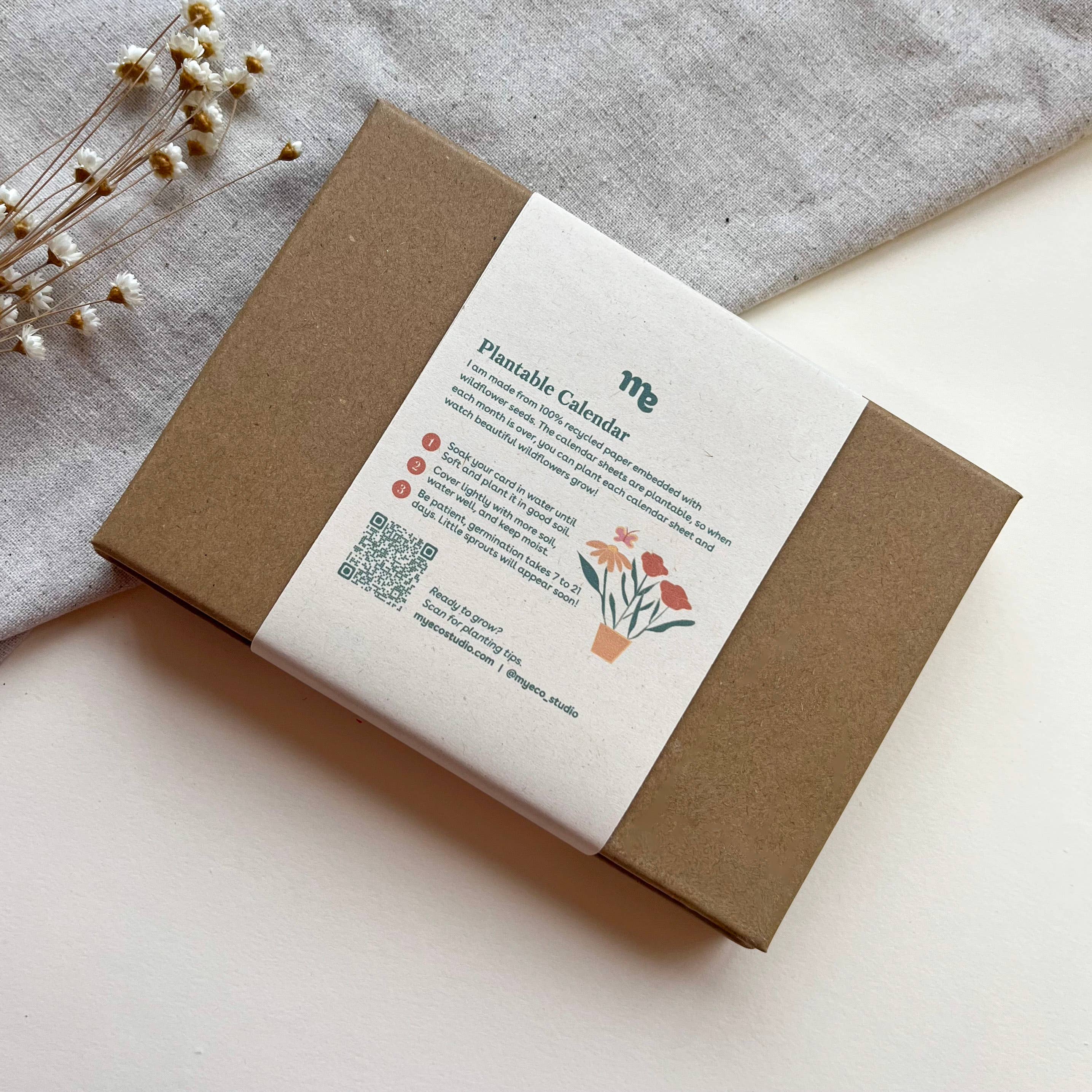 Myeco - Wholesale Calendar - 2026 Plantable Calendar - Eco Tips5