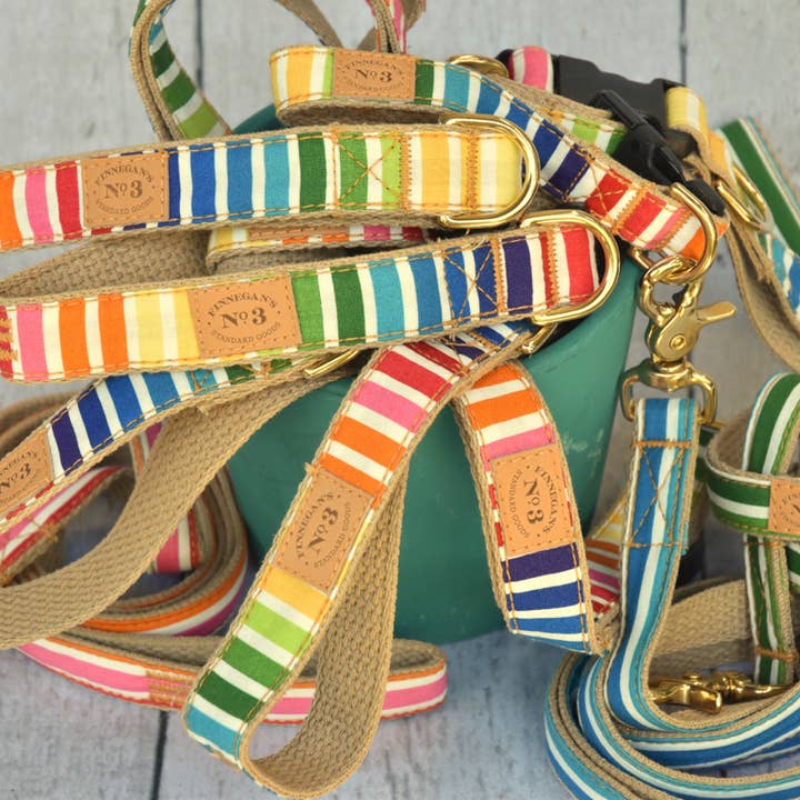 Finnegan’s Standard Goods - Wholesale Pet Leash - Dog - 1 inch Fruit Stripes Lead 2