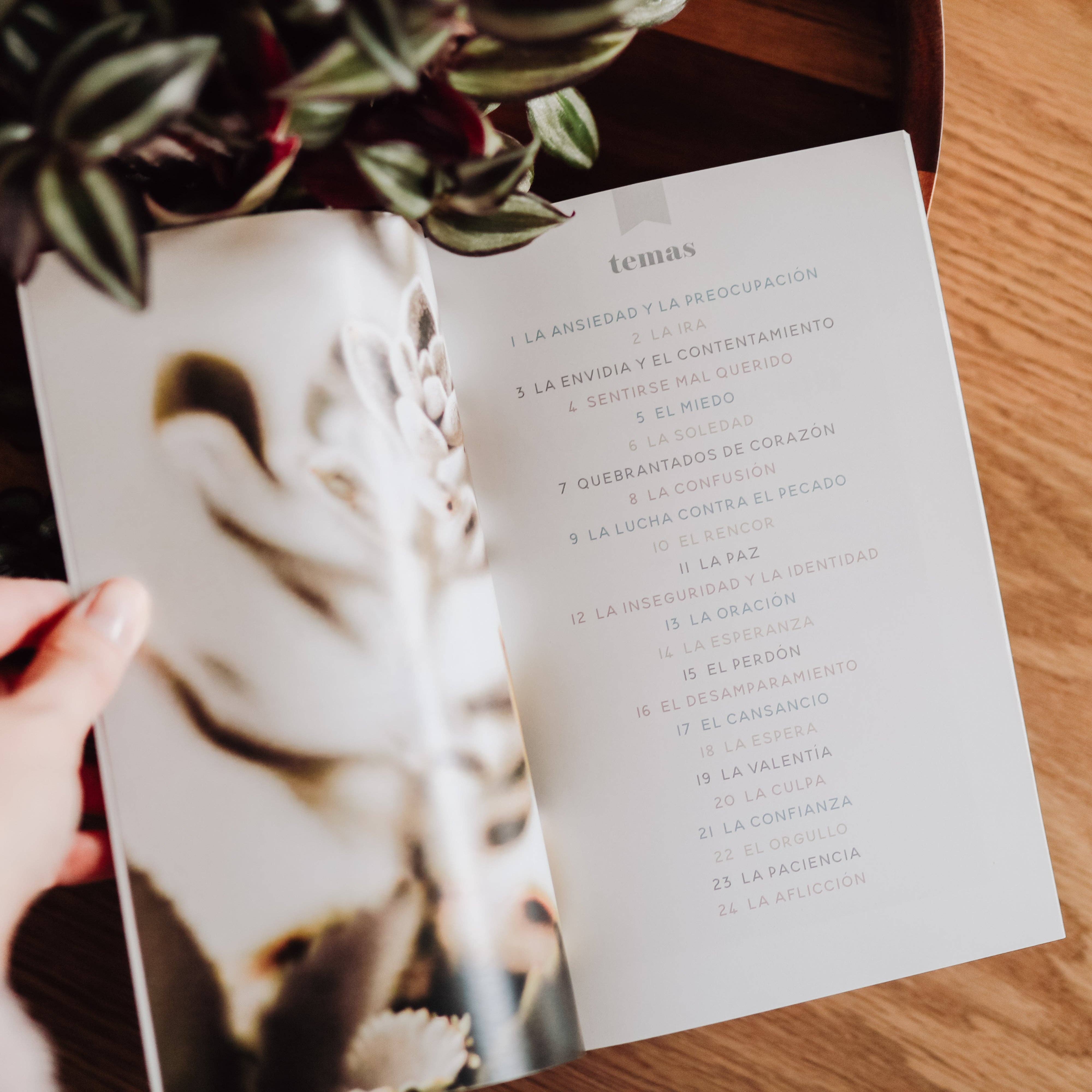 The Daily Grace Co - Wholesale Religion - La Verdad Diaria | Daily Truth - Spanish Edition2