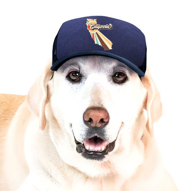 PupLid - Wholesale Pet Hat - Dog - Vintage State | Trucker Hat for Dogs57