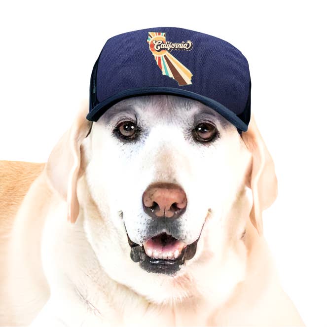 PupLid - Vendita all'ingrosso Cappello - Cani - Vintage State | Cappellino trucker per cani57