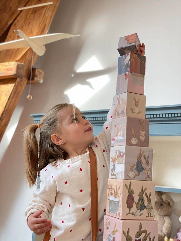 Egmont - Wholesale Stacking Game - Pyramid 1.2.3. Rabbit Family3