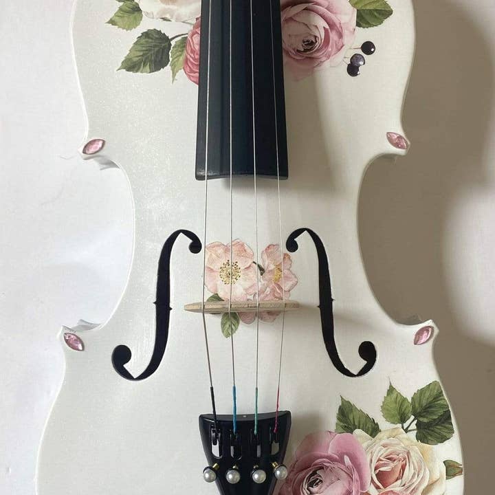 Rozanna's Violin - Vendita all'ingrosso Strumenti musicali - Completo da violino Rose Delight di Rozanna