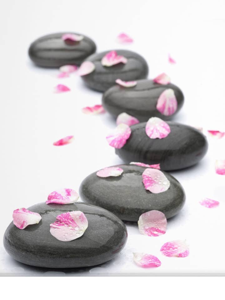 Zen-trykt gennemskinnelig rullegardin for engroshandel hos ZEBRA TEXTIL, SL