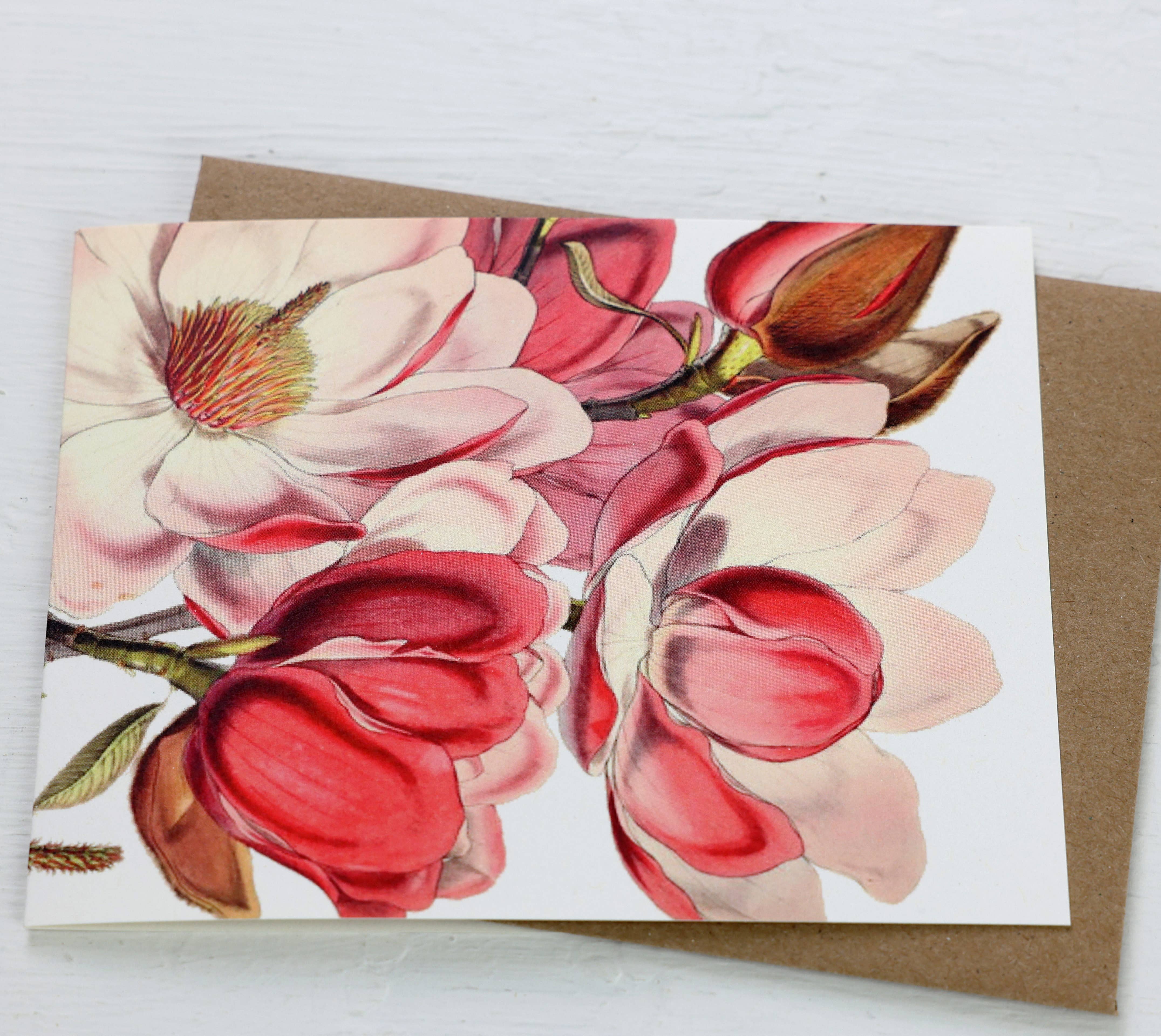Fairhope Graphics - Wholesale Everyday Greeting Card - Magnolia Card1