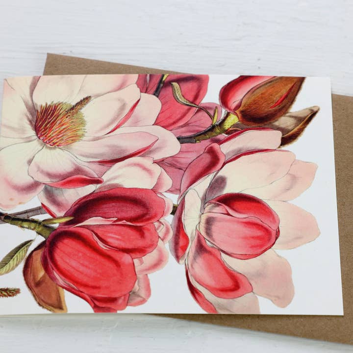 Fairhope Graphics - Wholesale Everyday Greeting Card - Magnolia Card1