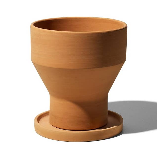 ERBA per la vendita all'ingrosso da parte di Alivar srl