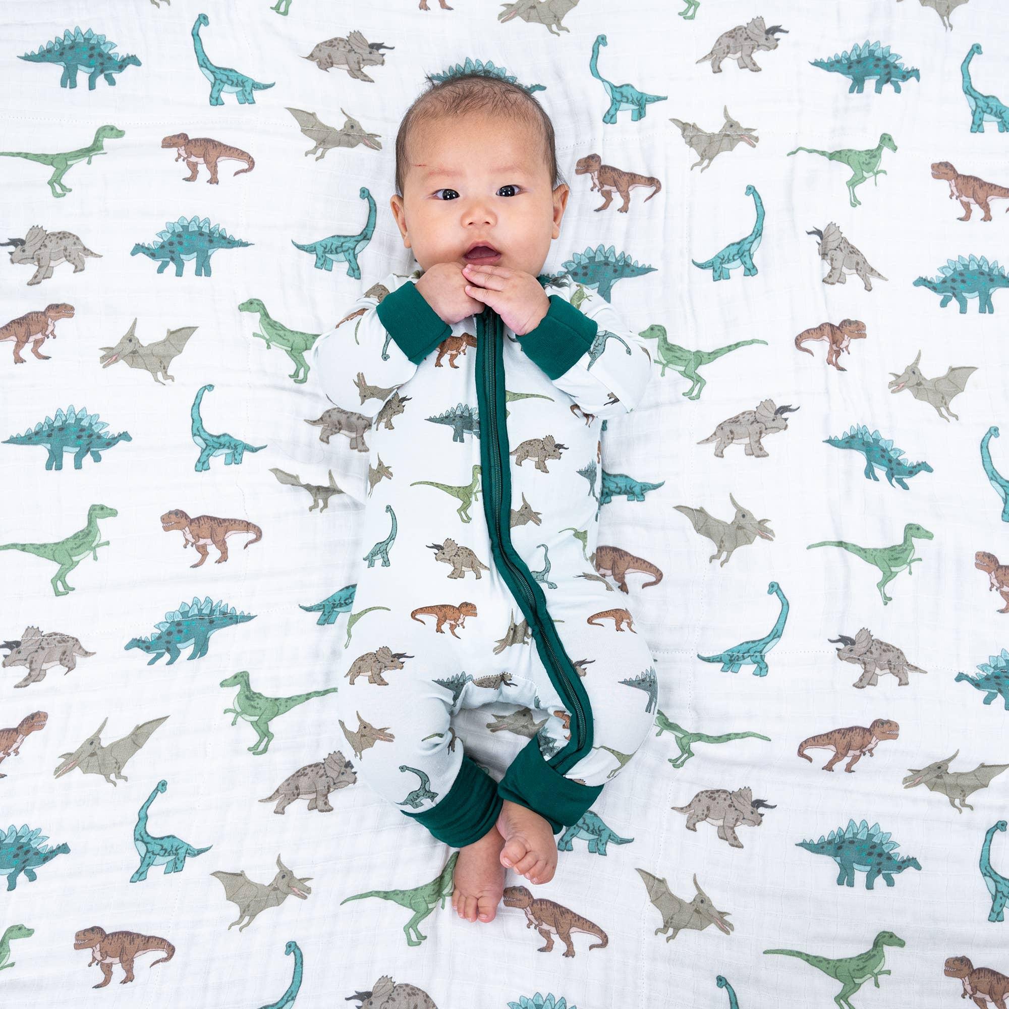 LollyBanks - Wholesale Sleepsuit - Baby - Dinosaur Baby Bamboo Pajamas6