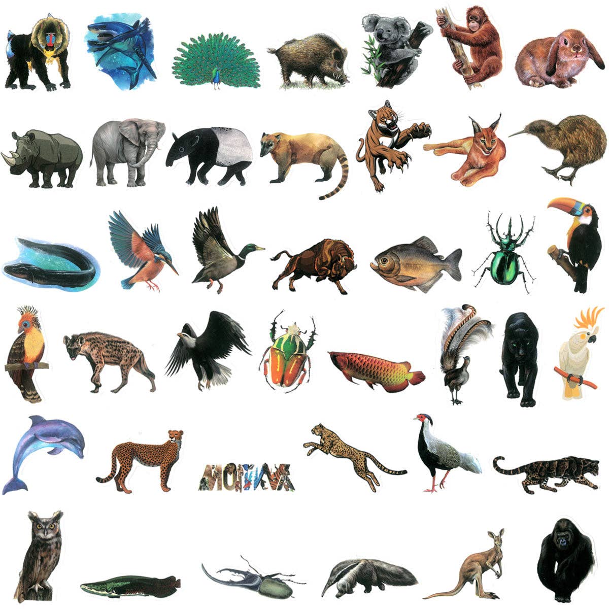 Wrapables.com - Wholesale Sticker - Wrapables Waterproof Vinyl Stickers for Water Bottles109