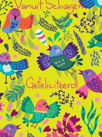 Colorboost Iii Grußkarte, Box 115 für den Großhandel von POSkaart | De Groot Design