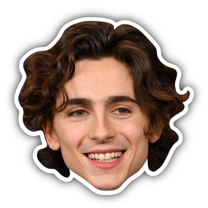Adesivo de vinil para cabeça de celebridade Timothee Chalamet por atacado de Lucky Mfg. Co.