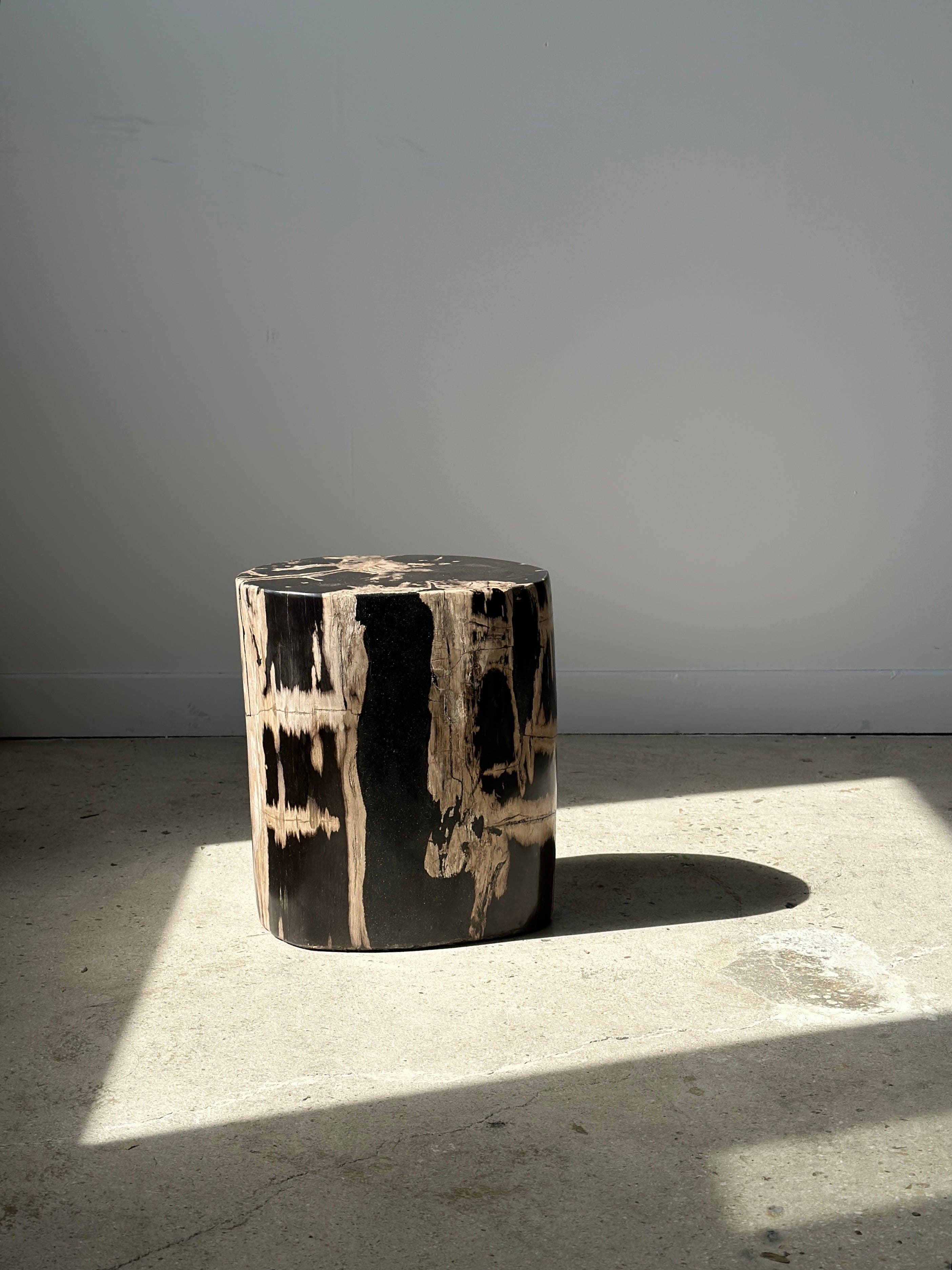 Office Objets - Vente Tables d'appoint - Table d'appoint en bois pétrifié6