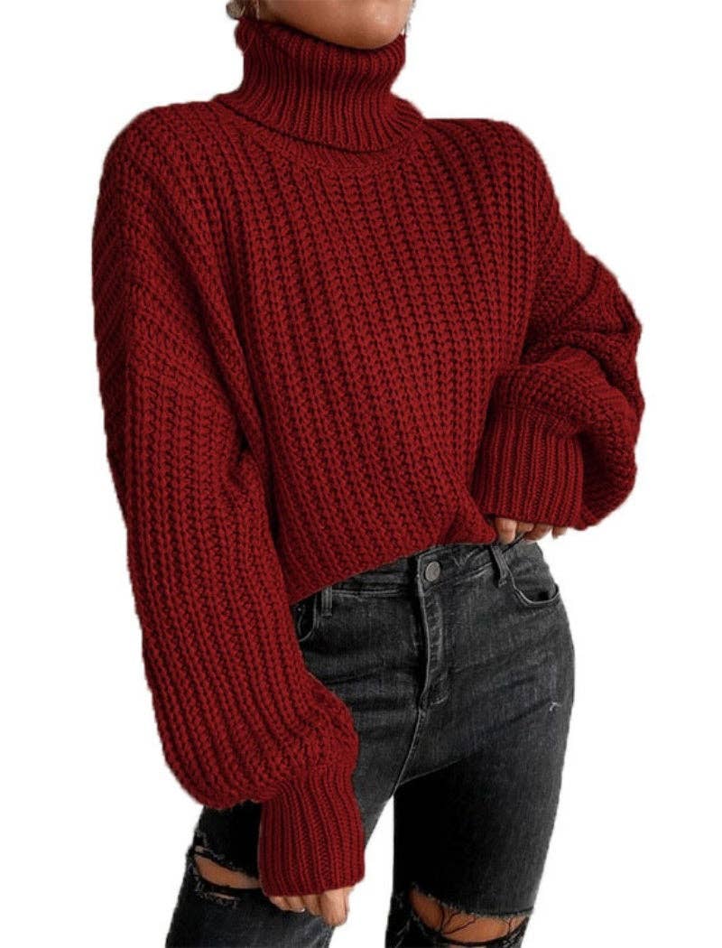 safistyle - Wholesale Knit Sweater - Women's - Chunky Knit Turtleneck Sweater0