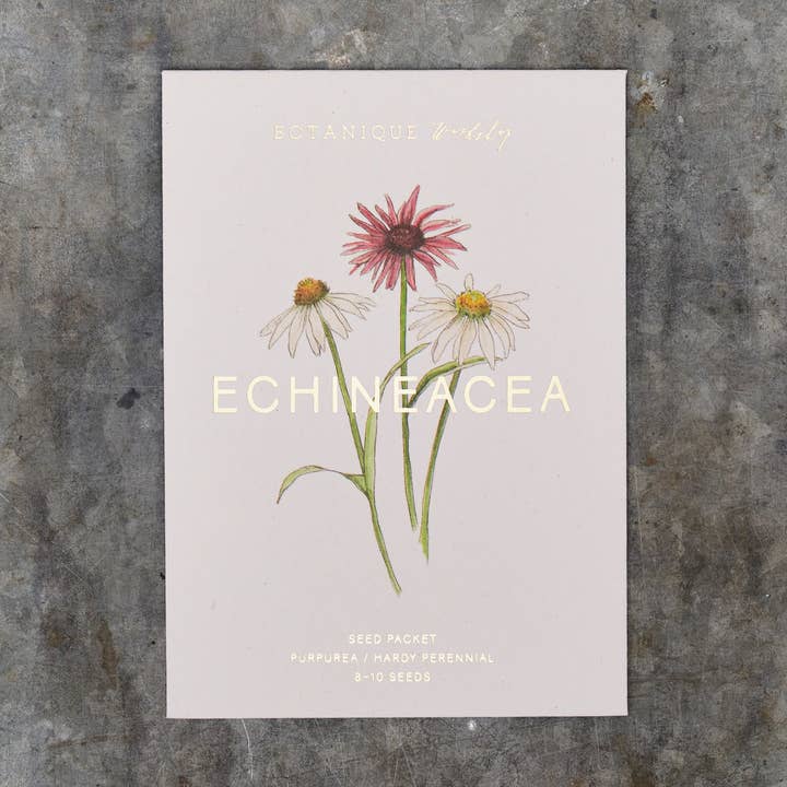 Botanique Workshop - Wholesale Plant Seeds - Echineacea Purpurea Seed Packet0