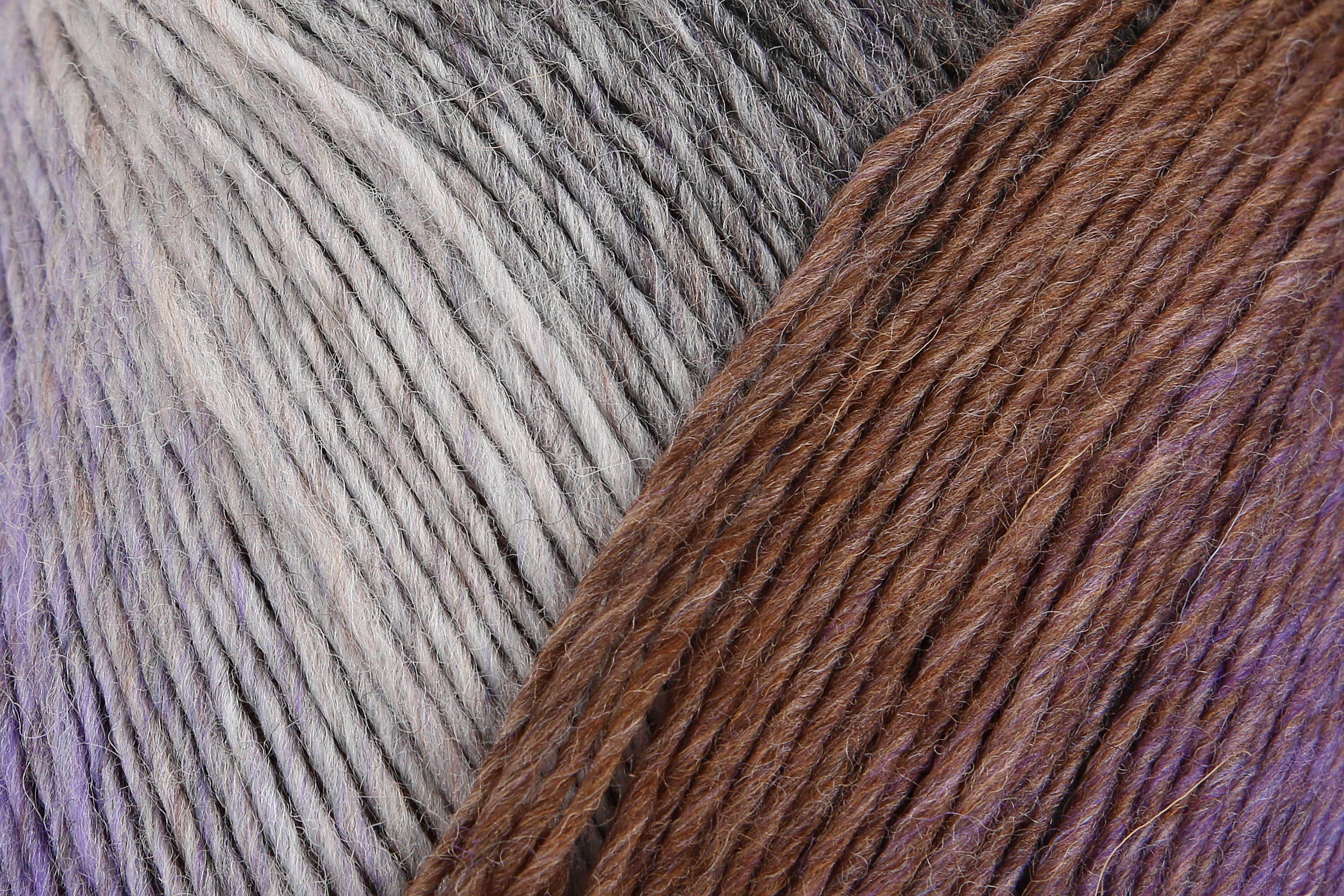 MEZ Crafts Germany – wholesale Garn – REGIA Virtuoso Color strumpa ull 5x150g13