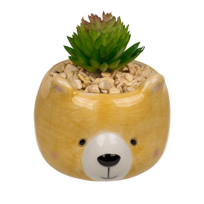 Out of the blue KG - Wholesale Succulent - Decoration succulent in pot, Animals,1