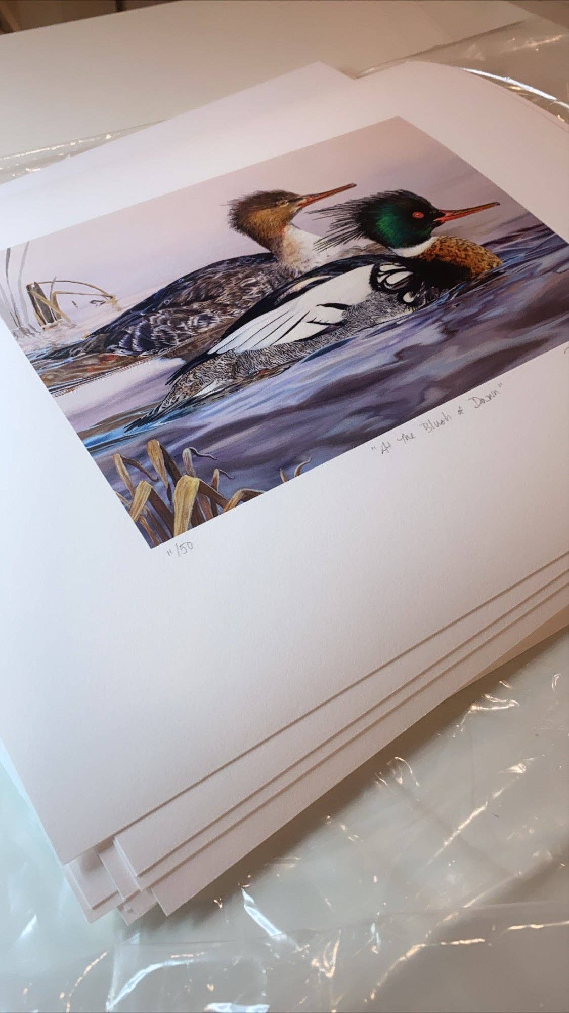 Rebekah Lowell Creative Studio - Wholesale Art Print - 2020 Maine Duck Stamp Print (Red-breasted Mergansers)5