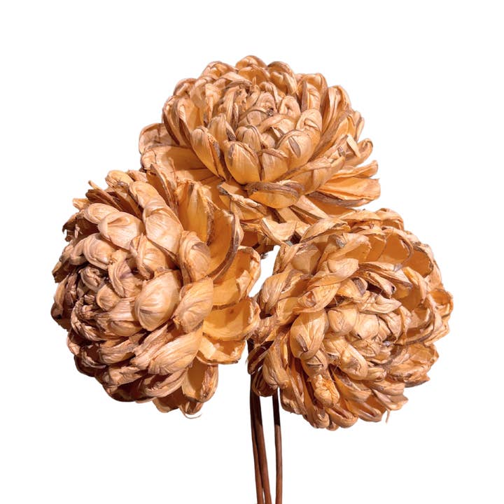Botanico Ltd. - Wholesale Artificial Flowers - Sola Chrysanthemum7